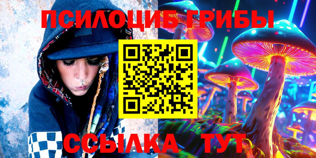 что такое   Псилоцибиновые грибы Cubensis  Вход с VPN  Кировск 