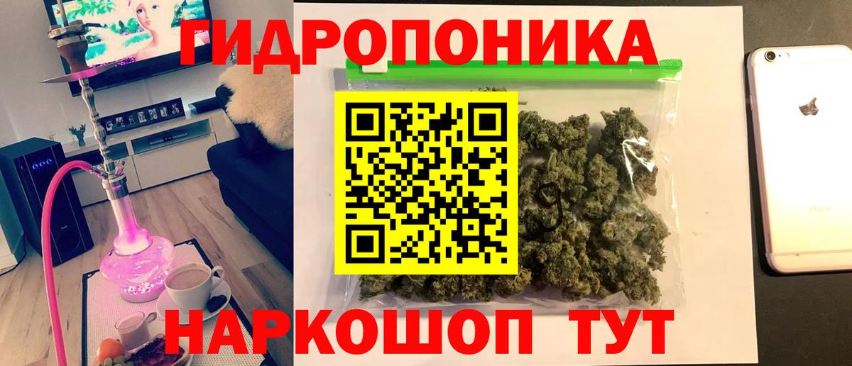 Бошки Шишки конопля Кировск
